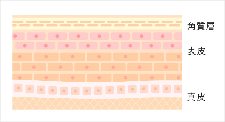 アートメイクとタトゥー（入れ墨）の違い